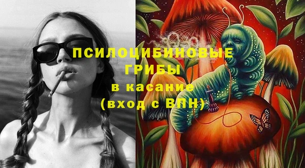 мдпв Михайловск