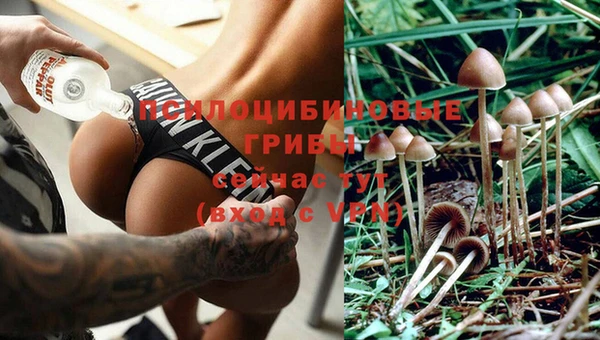 2c-b Абинск