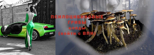 2c-b Абинск